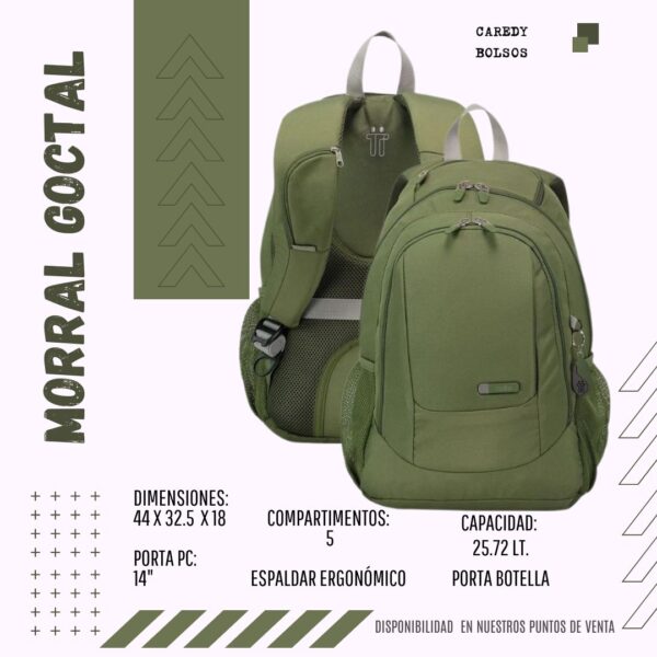 Morral Goctal-V3S