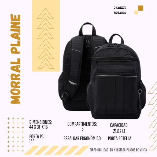 Morral Plaine N01